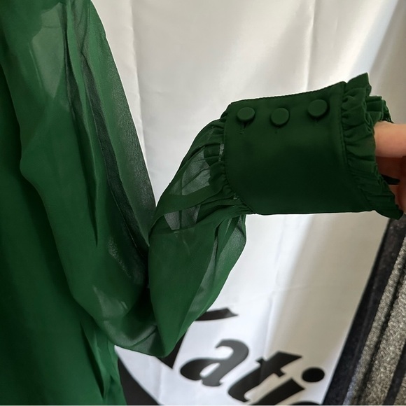 Divine Heritage 100% Silk Ruffle Front Blouse - Picture 7 of 8